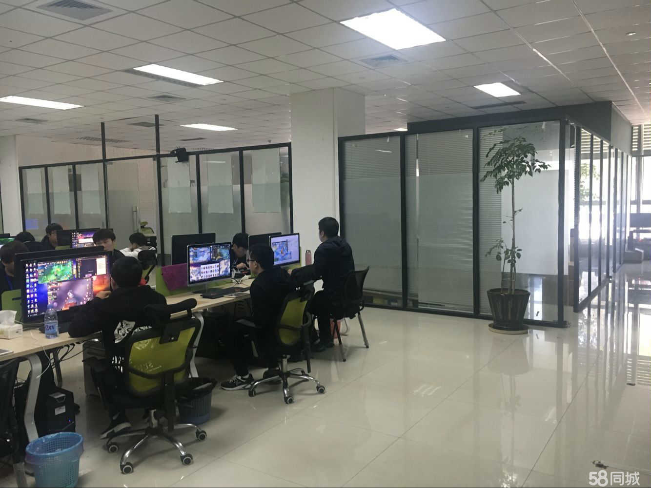 福建东恒网络科技